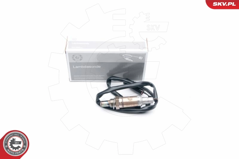 Oxygen Sensor